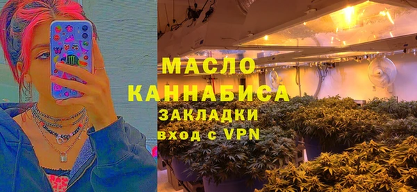 дживик Богородицк