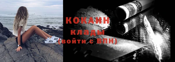 прущие крисы Бородино