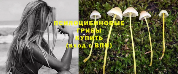 a pvp Бугульма