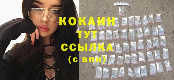 прущие крисы Бородино