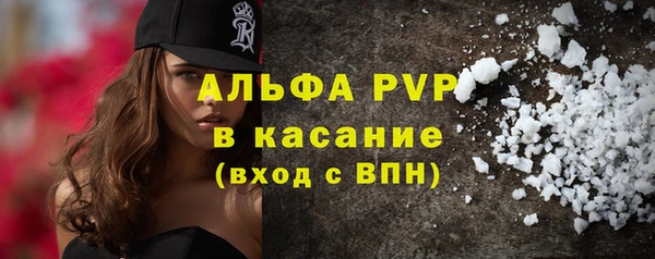 прущие крисы Бородино