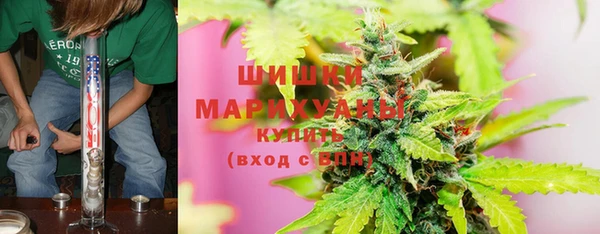 стафф Бронницы
