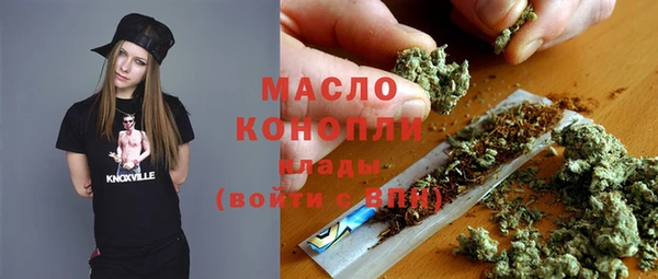 прущие крисы Бородино