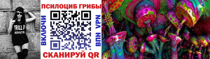 Псилоцибиновые грибы Psilocybe  где можно купить   это какой сайт  Володарск 